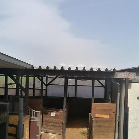 Schoenes Appartement " Die Ponybude" Auf Unserem Reiterhof Birkenbeul Екстериор снимка