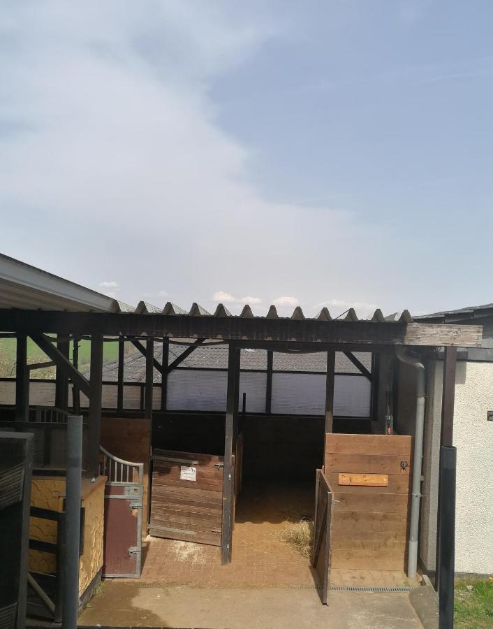 Schoenes Appartement " Die Ponybude" Auf Unserem Reiterhof Birkenbeul Екстериор снимка